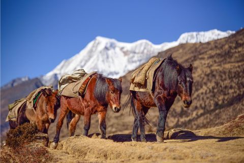 Bhutan Tour Image