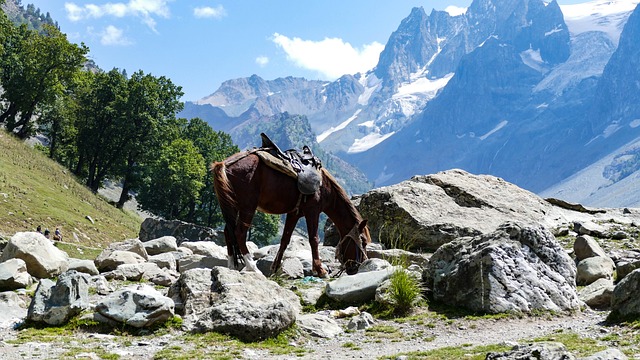 Kashmir Short Escape Image